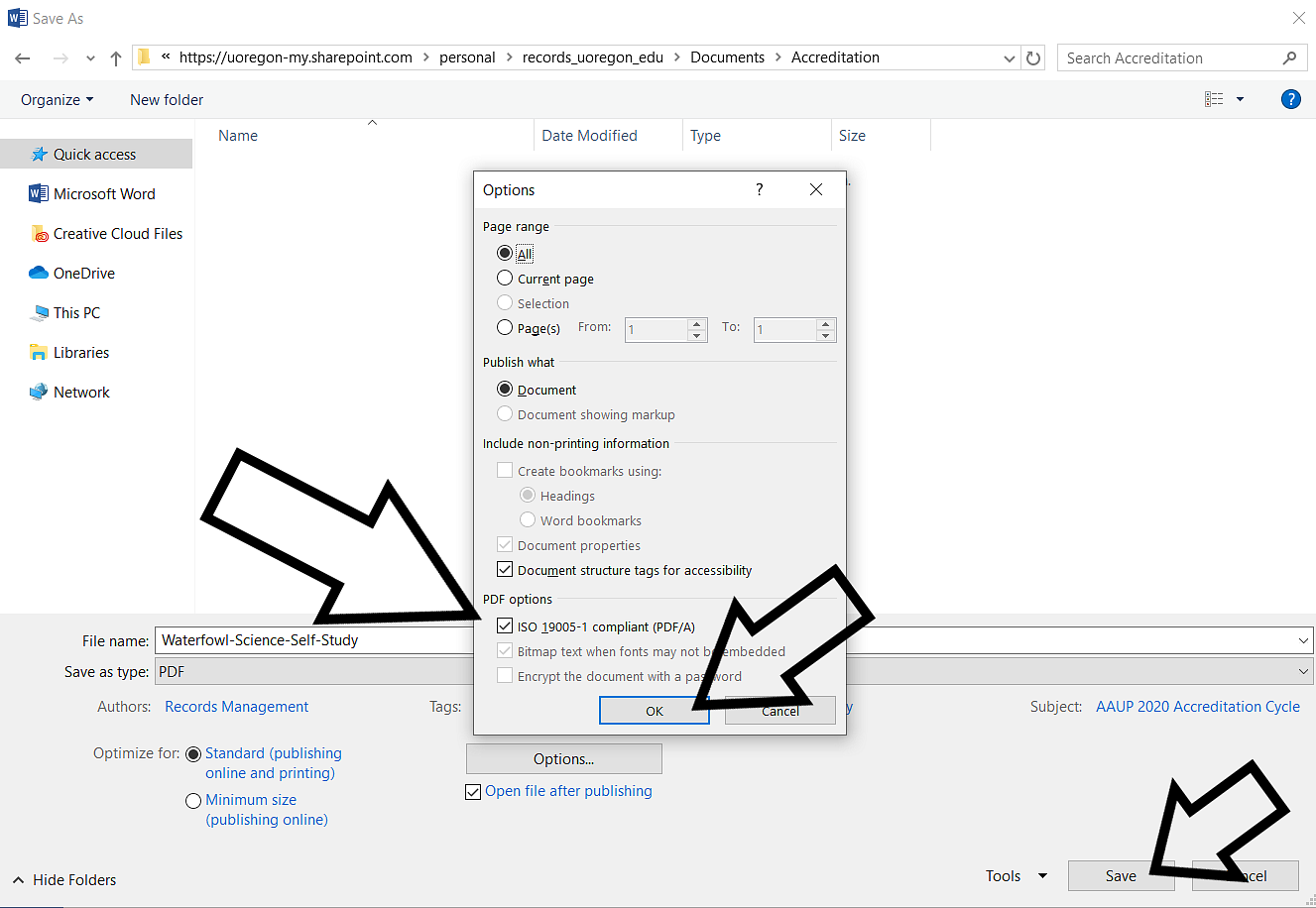 Screen shot of the fifth step to saving a .pdf/a from an office file