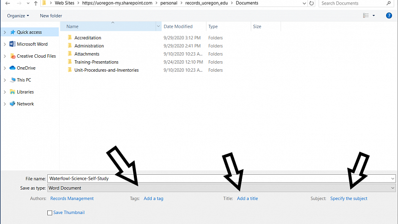 Screen shot of the second step to saving a .pdf/a from an office file