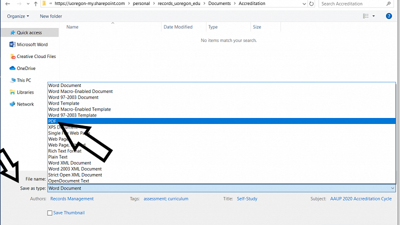 Screen shot of the third step to saving a .pdf/a from an office file