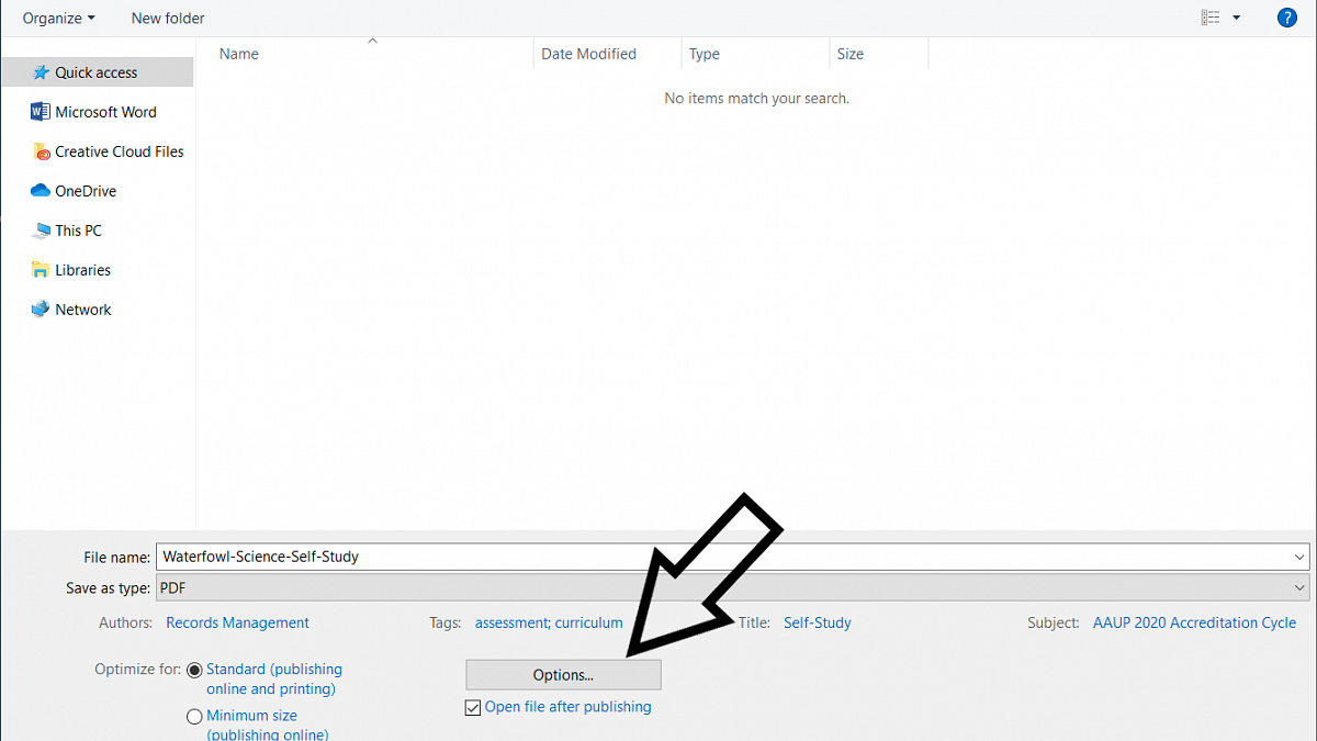Screen shot of the fourth step to saving a .pdf/a from an office file
